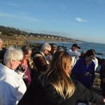 Cambria_0244 (November 02, 2013)